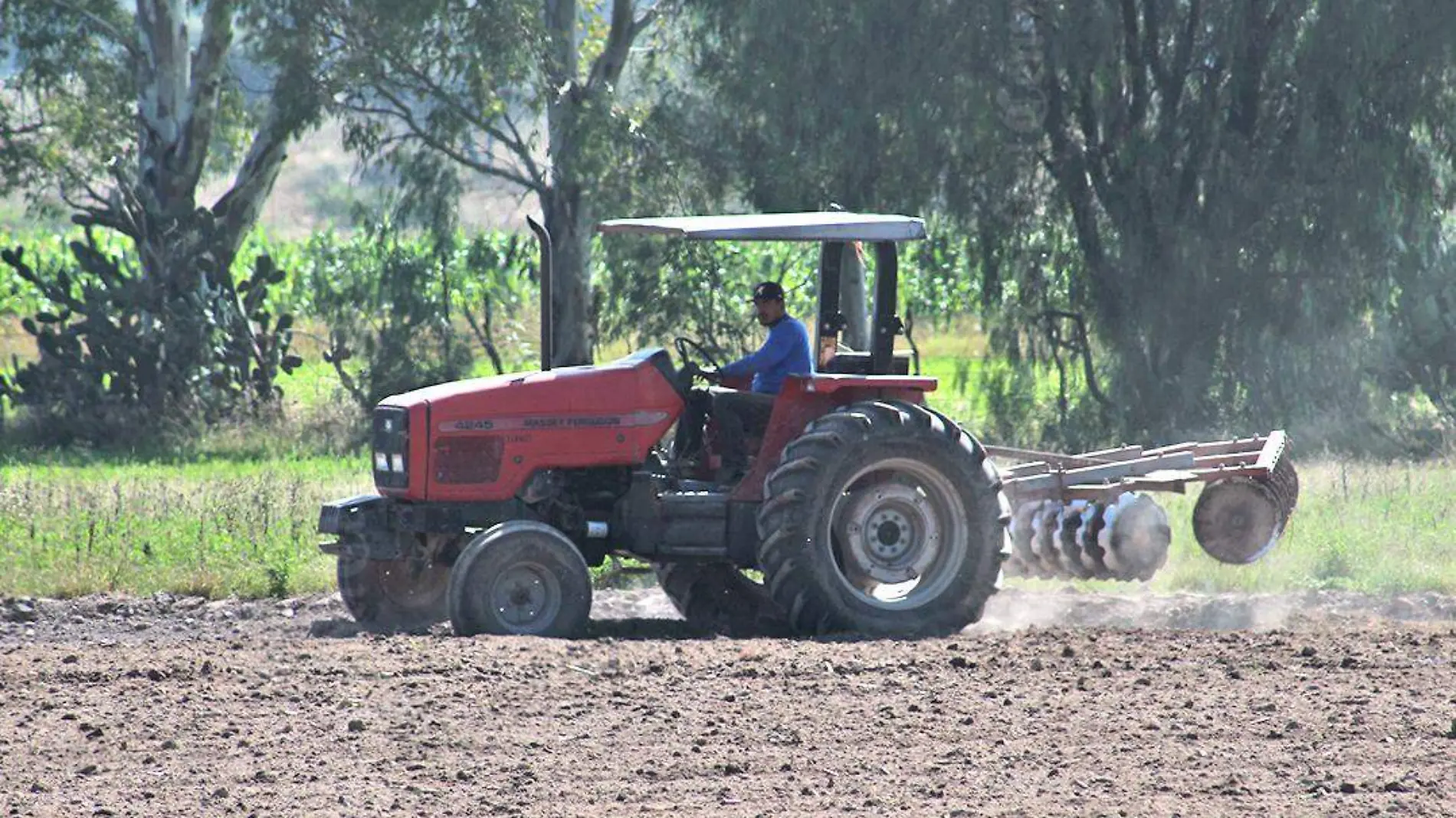 campo tractor